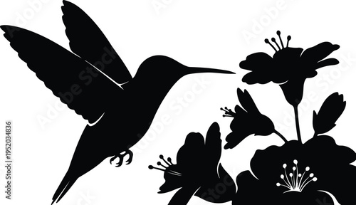 Silhouette flying hummingbird with beautiful blooming flowers drinking nectar vector design