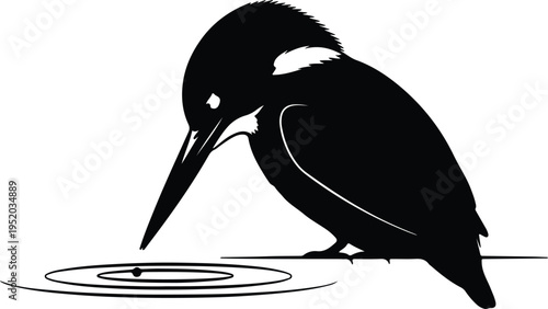 Silhouette kingfisher bird dipping beak into water creating ripples vector design