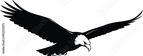 Silhouette powerful American eagle in flight dynamic predatory pose vector design