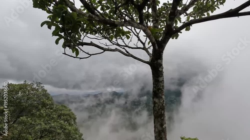 Vista do alto da serra na cidade de Araponga, região da Serra do Papagaio, Estado de Minas Gerais, Brasil