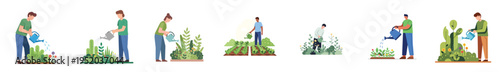 Flat minimalist vector illustration of a person watering outdoor garden plants with a watering can, peaceful lifestyle activity, no outline, white background