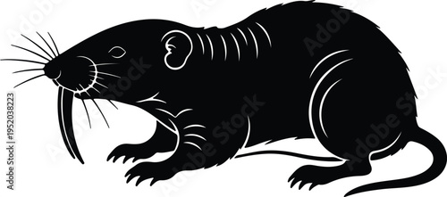 Silhouette naked mole rat rodent with long teeth animal vector design