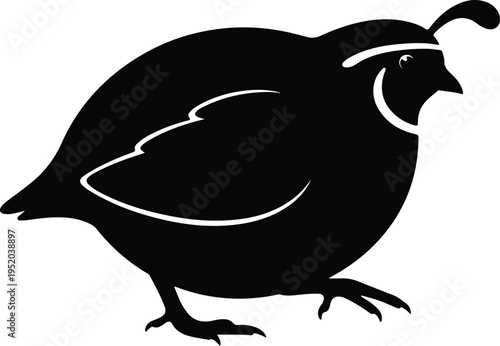 Silhouette side view of a wild quail bird with plume vector design