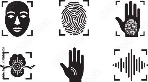 Biometric Security Icons for Identity Verification and Authentication