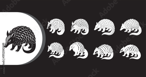 A collection of armadillo illustrations in various styles and poses on a black background