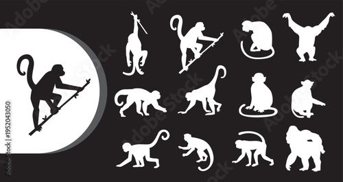 A collection of monkey silhouettes in various poses on a black background