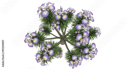 Overhead View of a Flowering Plant with Purple Blossoms.