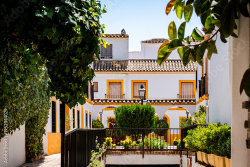Courtyard or alleyway in Cordoba, Spain Beautiful architecture in sunny south of Spain