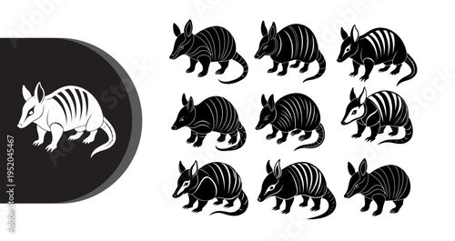 A collection of black and white armadillo illustrations on a clean white background
