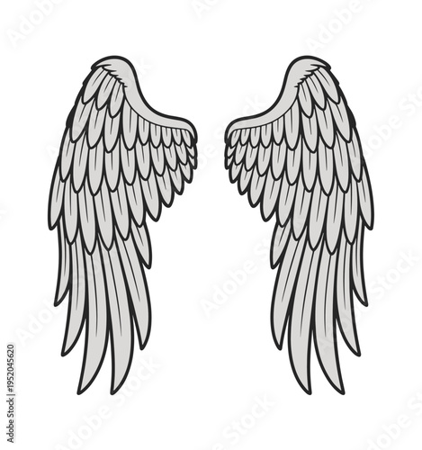 Angel Wings Illustration vector