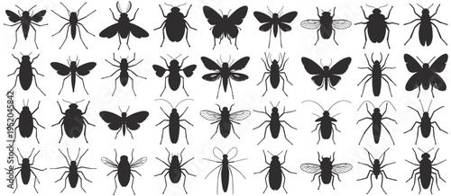 Extensive Collection of Insect Silhouettes assortment