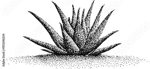 Black and white stipple art of aloe plant with spiky leaves for botanical design