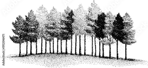 Tranquil bamboo forest in black and white stippling art for nature designs