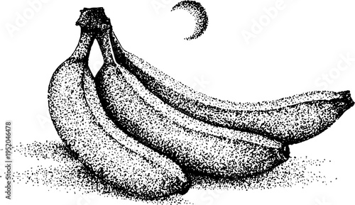 Bananas under crescent moon - stipple art design for vintage appeal