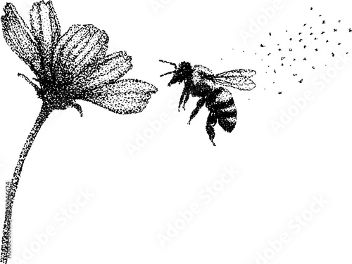 Bee collecting nectar from flower in black and white stipple art for nature-inspired designs