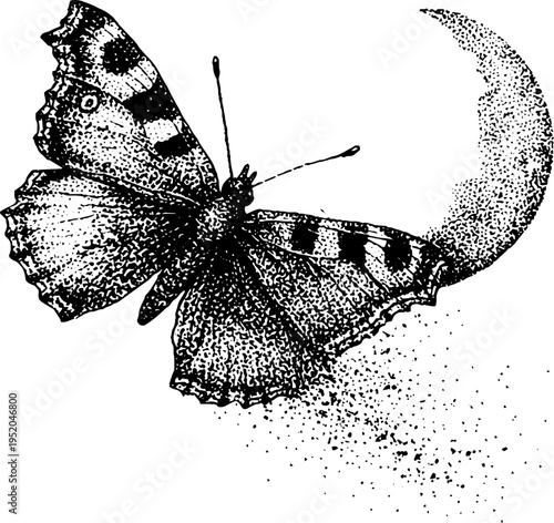 Butterfly with crescent moon halo in black and white stippling effect for artistic design
