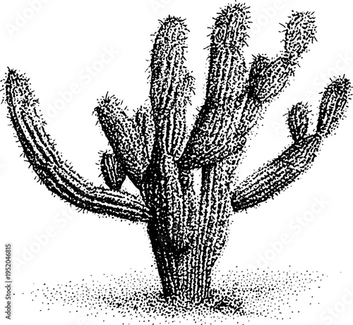 Black and white cactus design using stipple dotwork technique for art prints
