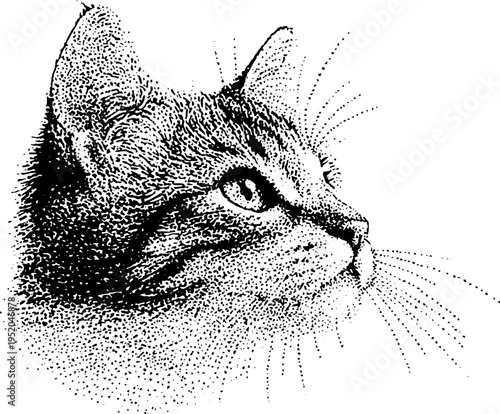 Black and white cat portrait in stippling technique for artistic design