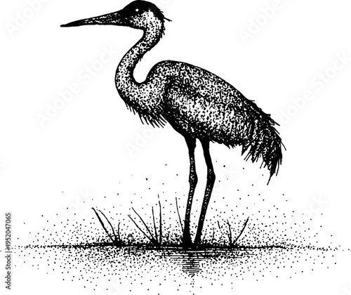 Elegant crane standing in water: black and white stippling art for vintage design projects