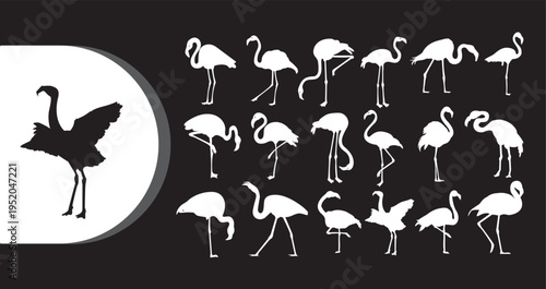 A collection of white and black flamingo silhouettes on a dark background