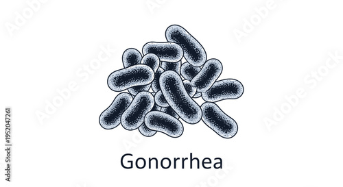 Neisseria gonorrhoeae bacteria illustration, medical diagram of gonorrhea causative agent.