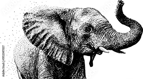 Elephant in black and white stipple art with dotwork technique for vintage design