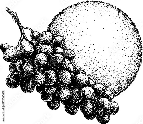Intricate grape cluster with mandala frame in black and white dotwork for decorative design