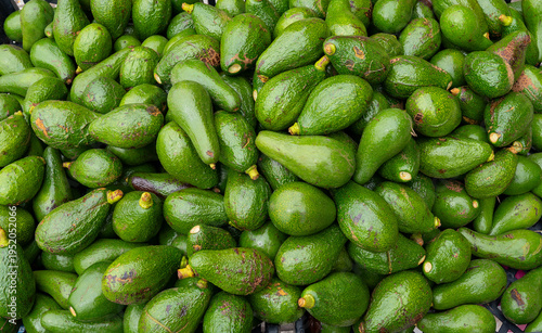 a close up overhead shot of a bin of avocados at a street market in buenos aires, argentina