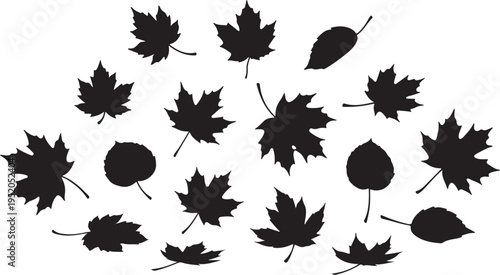 Collection of black leaf silhouettes on white background falling down