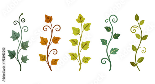 vines, vine, plant, creeper, climber, foliage, leaf, leaves, branch, stem, swirl, curve, curling, twirl, flourish, decorative, ornament, pattern, design, botanical, nature, greenery, green, organic, n