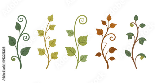 vine, vines, plant, creeper, climber, foliage, leaf, leaves, branch, stem, swirl, curve, curling, twirl, flourish, decorative, ornament, pattern, design, botanical, nature, greenery, green, organic, n