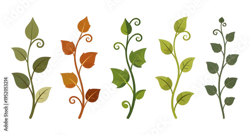 vine, vines, plant, creeper, climber, foliage, leaf, leaves, branch, stem, swirl, curve, curling, twirl, flourish, decorative, ornament, pattern, design, botanical, nature, greenery, green, organic, n