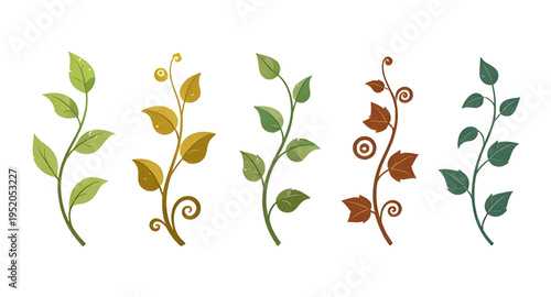 vine, vines, plant, creeper, climber, foliage, leaf, leaves, branch, stem, swirl, curve, curling, twirl, flourish, decorative, ornament, pattern, design, botanical, nature, greenery, green, organic, n