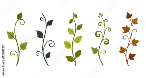 vines, plant, creeper, climber, foliage, leaf, leaves, branch, stem, swirl, curve, curling, twirl, flourish, decorative, ornament, pattern, design, botanical, greenery, nature, green, organic, natural