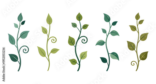 vines, plant, creeper, climber, foliage, leaf, leaves, branch, stem, swirl, curve, curling, twirl, flourish, decorative, ornament, pattern, design, botanical, greenery, nature, green, organic, natural