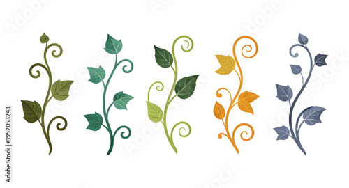 vine, plant, creeper, climber, foliage, leaf, leaves, branch, stem, swirl, curve, curling, twirl, flourish, decorative, ornament, pattern, design, botanical, greenery, nature, green, organic, natural,