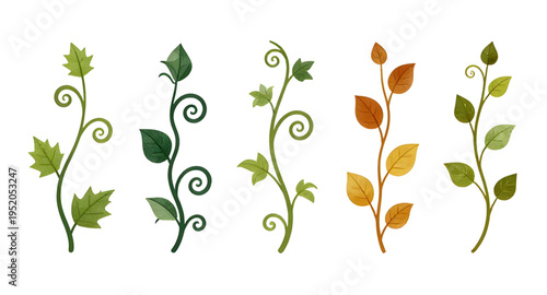 vine, plant, creeper, climber, foliage, leaf, leaves, branch, stem, swirl, curve, curling, twirl, flourish, decorative, ornament, pattern, design, botanical, greenery, nature, green, organic, natural,