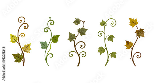 vine, plant, creeper, climber, foliage, leaf, leaves, branch, stem, swirl, curve, curling, twirl, flourish, decorative, ornament, pattern, design, botanical, greenery, nature, green, organic, natural,
