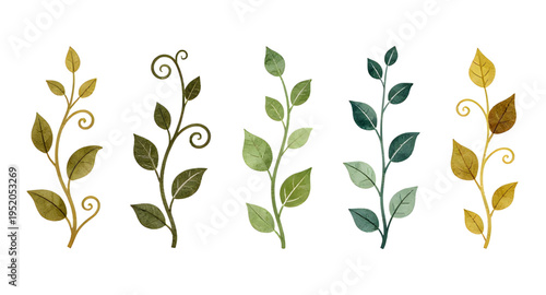 vines, vine, plant, creeper, climber, foliage, leaf, leaves, branch, stem, swirl, curve, curling, twirl, flourish, decorative, ornament, pattern, design, botanical, nature, greenery, green, organic, n