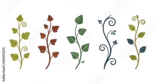 vine, vines, plant, creeper, climber, foliage, leaf, leaves, branch, stem, swirl, curve, curling, twirl, flourish, decorative, ornament, pattern, design, botanical, nature, greenery, green, organic, n