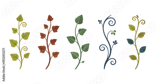 vine, vines, plant, creeper, climber, foliage, leaf, leaves, branch, stem, swirl, curve, curling, twirl, flourish, decorative, ornament, pattern, design, botanical, nature, greenery, green, organic, n