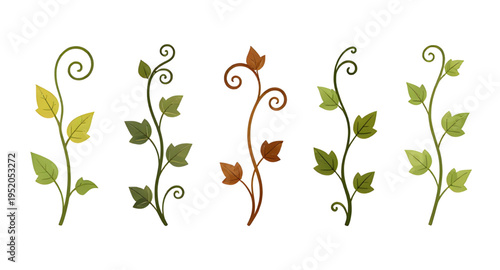 vine, vines, plant, creeper, climber, foliage, leaf, leaves, branch, stem, swirl, curve, curling, twirl, flourish, decorative, ornament, pattern, design, botanical, nature, greenery, green, organic, n