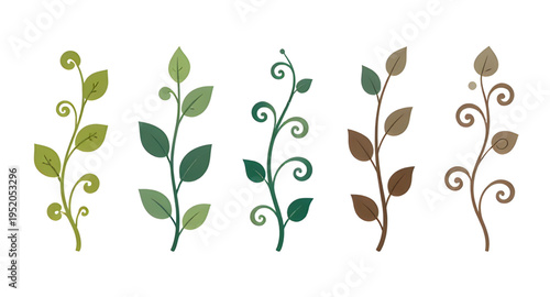 vines, vine, plant, creeper, climber, foliage, leaf, leaves, branch, stem, swirl, curve, curling, twirl, flourish, decorative, ornament, pattern, design, botanical, nature, greenery, green, organic, n