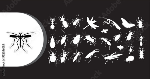 A collection of various insect silhouettes on a black background