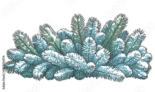 Evergreen branches covered in snow create a winter scene in a forest setting during daylight hours