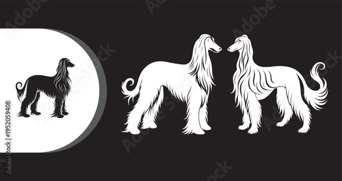 A graphic illustration of Afghan Hounds in different poses and colors on a black background