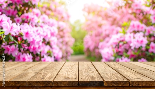 Close-up of a wooden surface in focus, with a blurred floral background of vibrant pink blooms, and natural light