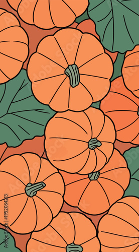 Pumpkins of various sizes are arranged closely together on a background that suggests an autumn theme