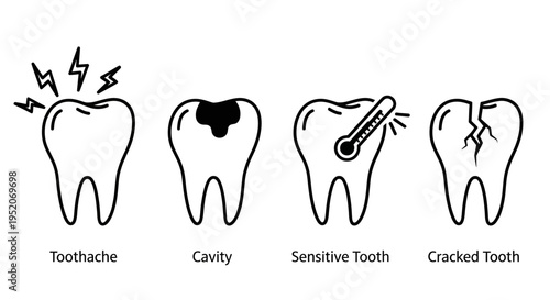 Common Dental Problems Illustrated Toothache, Cavity, Sensitive Tooth, and Cracked Tooth