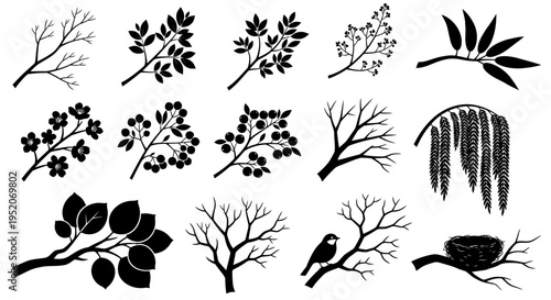 Collection of vector silhouettes of tree branches with leaves, berries, flowers, and birds nests